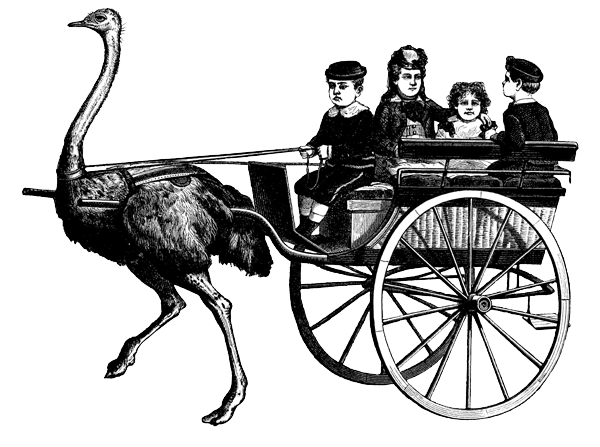 Ostrich Cart